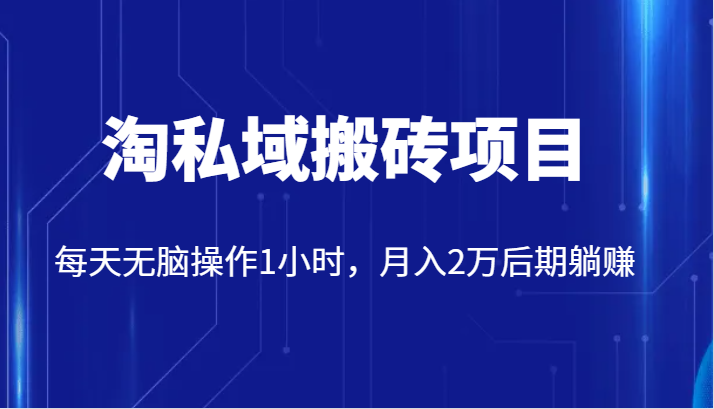 价值2980的淘私域搬砖项目，每天无脑操作1小时，月入2万后期躺赚-易购网创