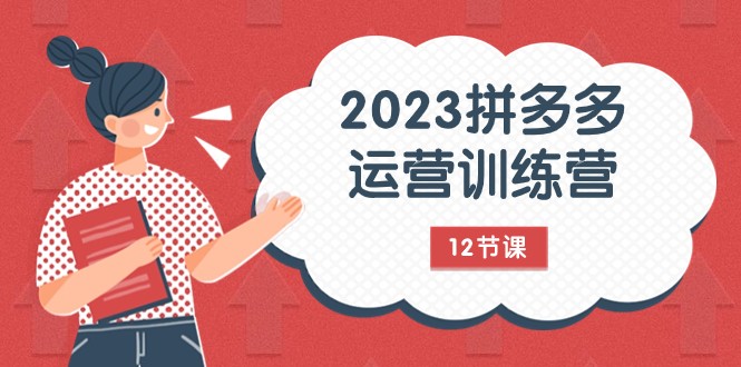 2023拼多多运营训练营：流量底层逻辑，免费+付费流量玩法（12节课）-易购网创
