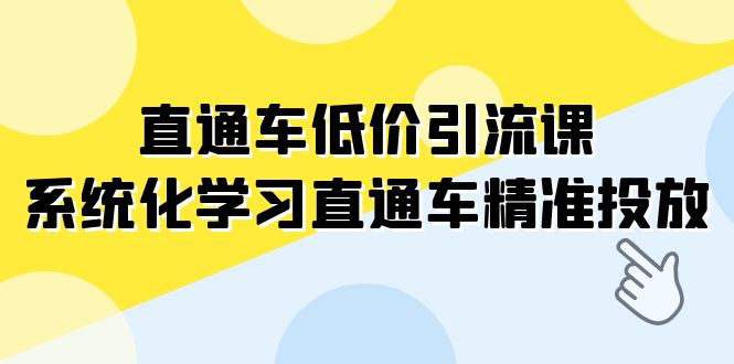 直通车-低价引流课，系统化学习直通车精准投放（14节课）-易购网创