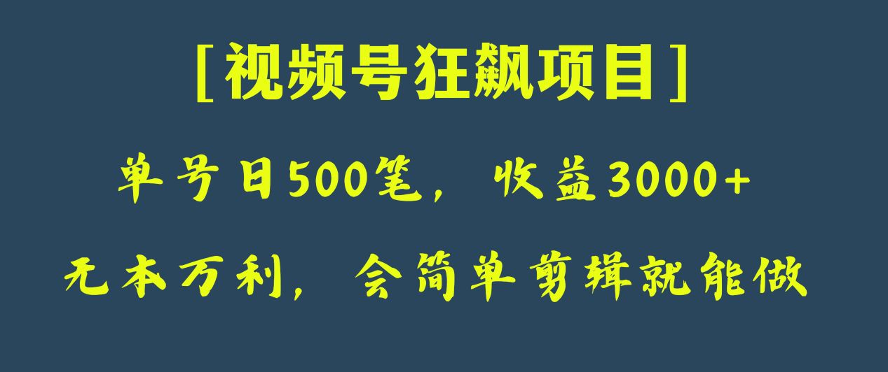 日收款500笔，纯利润3000+，视频号狂飙项目！-易购网创