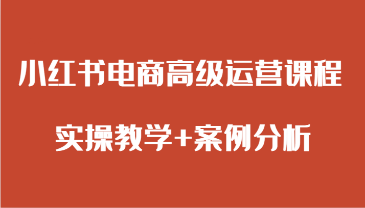 小红书电商高级运营课程 实操教学+案例分析-易购网创