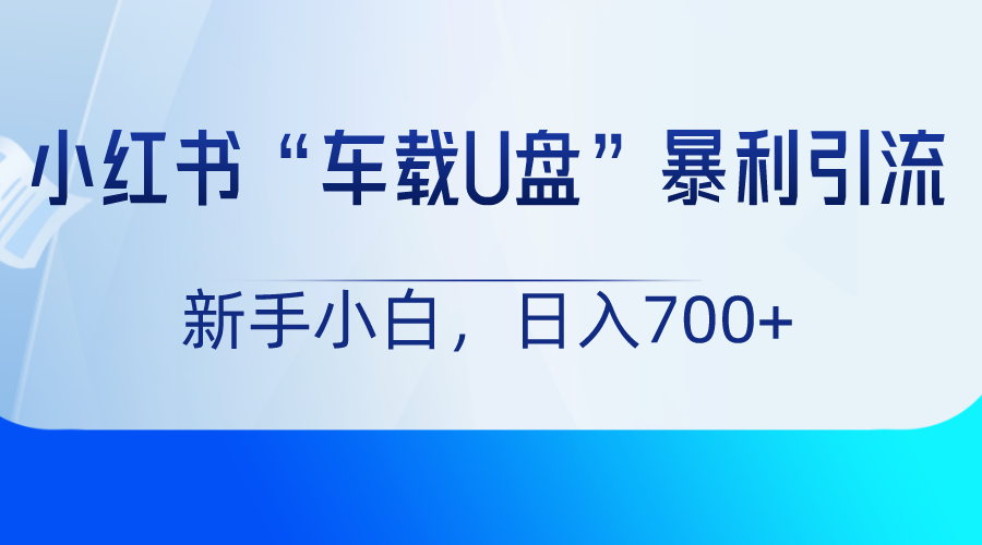 小红书“车载U盘”项目，暴利引流，新手小白轻松日入700+-易购网创