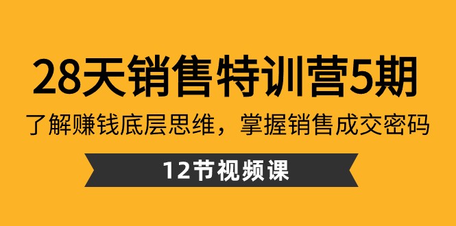 28天销售特训营5期：了解赚钱底层思维，掌握销售成交密码（12节课）-易购网创