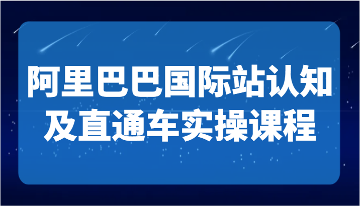 阿里巴巴国际站认知及直通车实操课-国际地产逻辑、国际站运营定位、TOP商家运营思路-易购网创