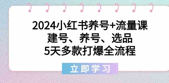 2024小红书养号+流量课：建号、养号、选品，5天多款打爆全流程-易购网创