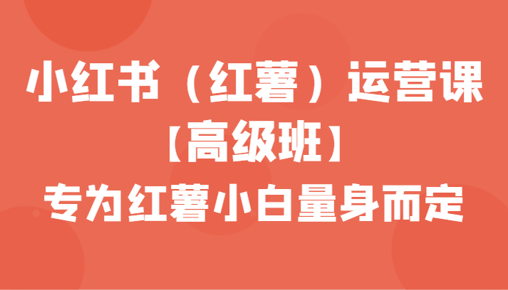小红书（红薯）运营课【高级班】，专为红薯小白量身而定（42节课）-易购网创