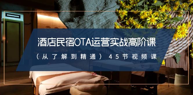 酒店民宿OTA运营实战高阶课（从了解到精通）45节视频课-易购网创
