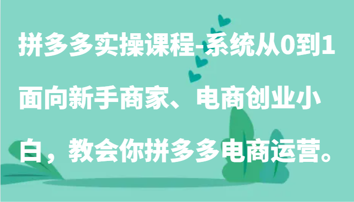 拼多多实操课程-系统从0到1，面向新手商家、电商创业小白，教会你拼多多电商运营。-易购网创