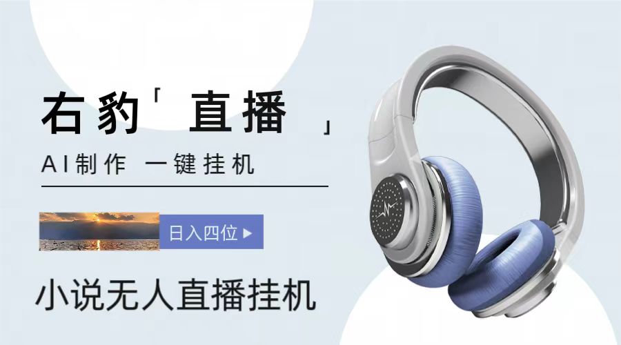 右豹小说无人直播挂机吸金项目，简单易行收益稳定， 月入1000+-易购网创