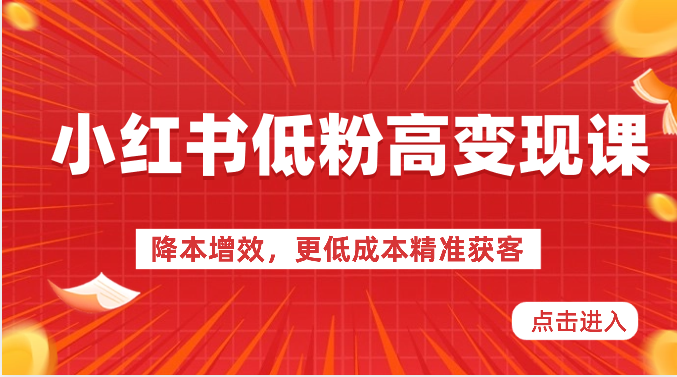 小红书低粉高变现课-降本增效，更低成本精准获客，小红书必爆的流量密码-易购网创
