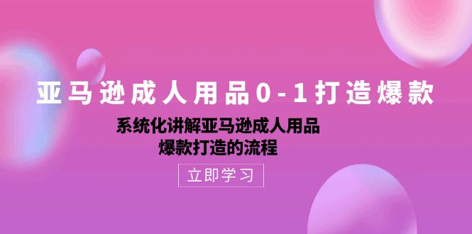 亚马逊成人用品0-1打造爆款：系统化讲解亚马逊成人用品爆款打造的流程-易购网创
