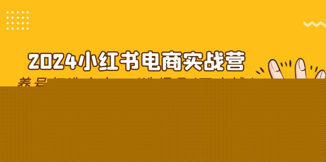 2024小红书电商实战营，养号打造IP/选爆品/开店铺/爆款笔记/等等（24节）-易购网创
