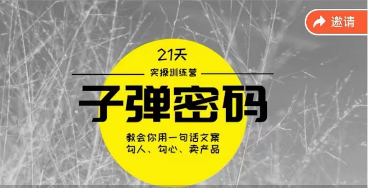 《子弹密码训练营》用一句话文案勾人勾心卖产品，21天学到顶尖文案大师策略和技巧-易购网创