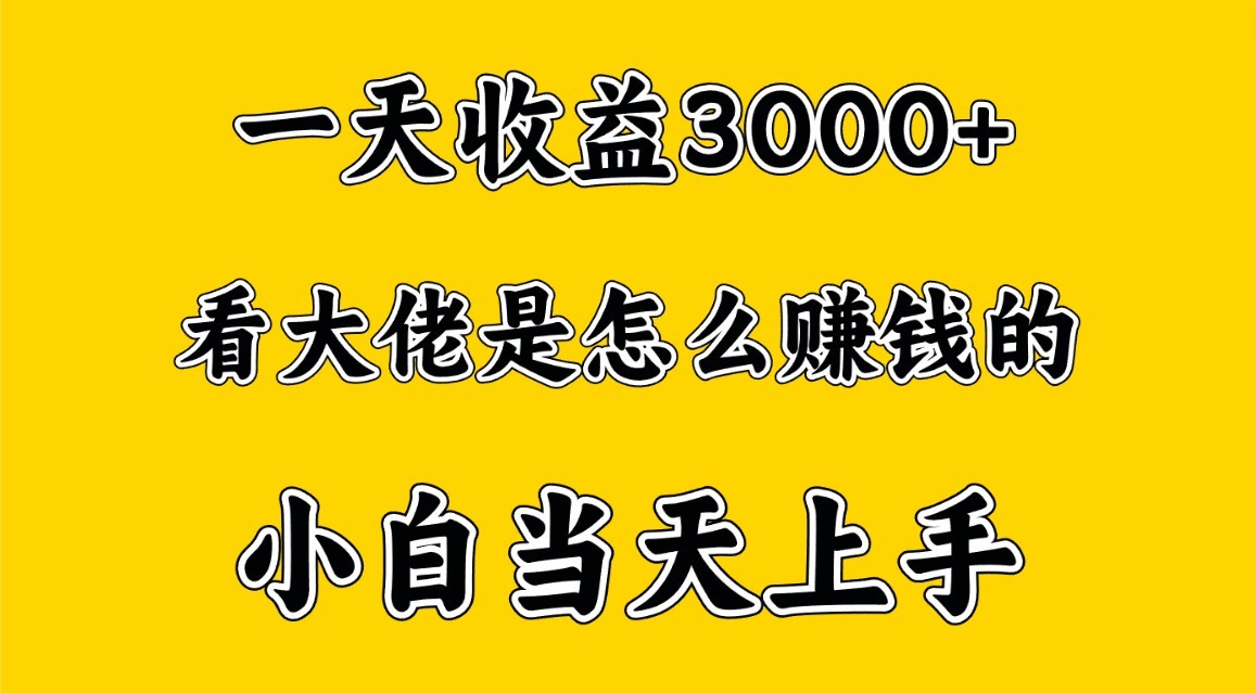 一天赚3000多，大佬是这样赚到钱的，小白当天上手，穷人翻身项目-易购网创