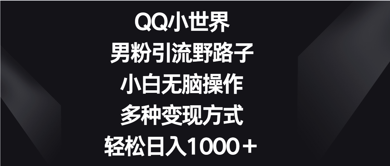 QQ小世界男粉引流野路子，小白无脑操作，多种变现方式轻松日入1000＋-易购网创