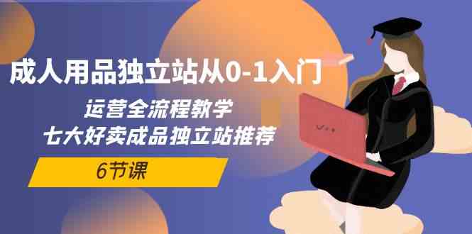 成人用品独立站从0-1入门，运营全流程教学，七大好卖成品独立站推荐（6节课）-易购网创