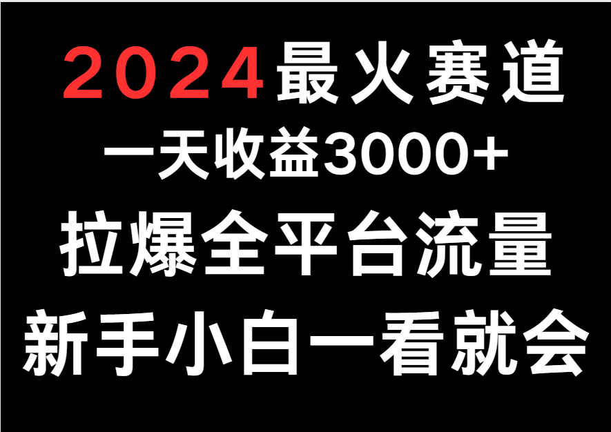 2024最火赛道，一天收一3000+.拉爆全平台流量，新手小白一看就会-易购网创
