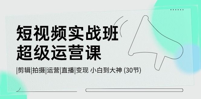 短视频实战班超级运营课 |剪辑|拍摄|运营|直播|变现 小白到大神 (30节)-易购网创