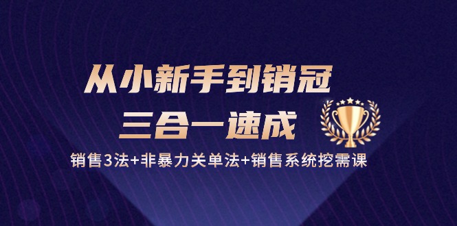 从小新手到销冠三合一速成：销售3法+非暴力关单法+销售系统挖需课 (27节)-易购网创
