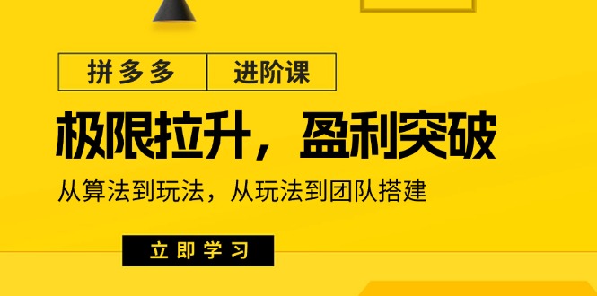 拼多多进阶课：极限拉升/盈利突破：从算法到玩法 从玩法到团队搭建（18节）-易购网创