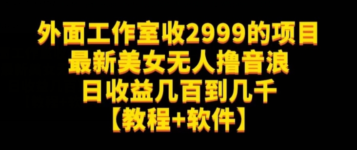 外面工作室收2999的项目最新美女无人撸音浪日收益几百到几千【教程+软件】（仅揭秘）-易购网创