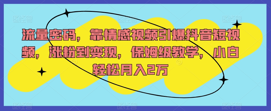 流量密码，靠情感视频引爆抖音短视频，涨粉到变现，保姆级教学，小白轻松月入2万【揭秘】-易购网创
