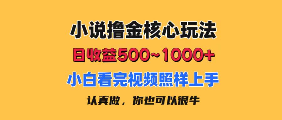 小说撸金核心玩法，日收益500-1000+，小白看完照样上手，0成本有手就行-易购网创