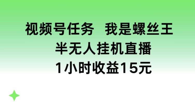 视频号任务，我是螺丝王， 半无人挂机1小时收益15元-易购网创