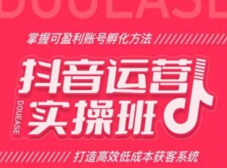 抖音运营实操班，掌握可盈利账号孵化方法，打造高效低成本获客系统-易购网创