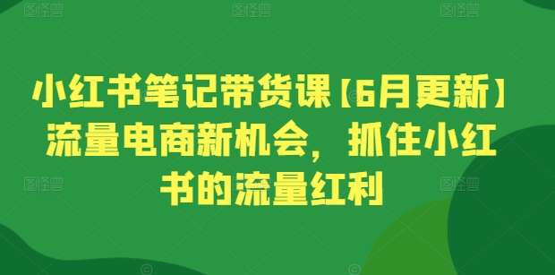 小红书笔记带货课【6月更新】流量电商新机会，抓住小红书的流量红利-易购网创