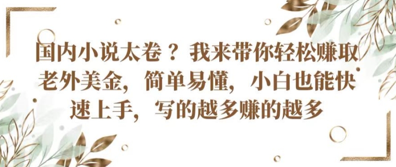 国内小说太卷 ?带你轻松赚取老外美金，简单易懂，小白也能快速上手，写的越多赚的越多-易购网创