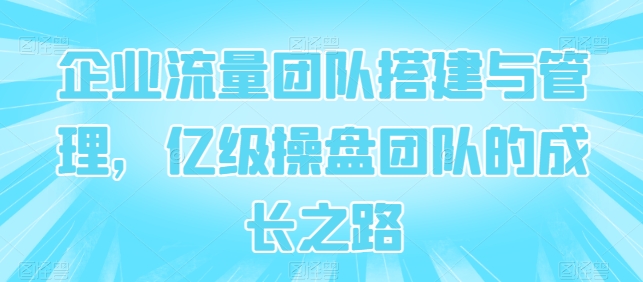 企业流量团队搭建与管理，亿级操盘团队的成长之路-易购网创