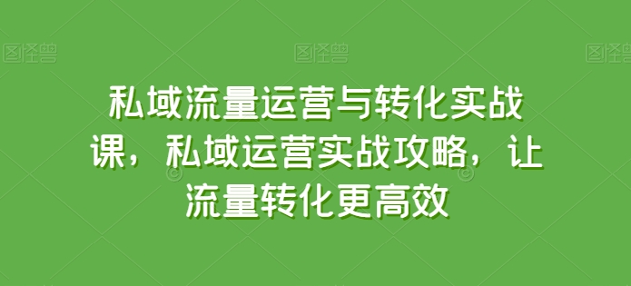 私域流量运营与转化实战课，私域运营实战攻略，让流量转化更高效-易购网创