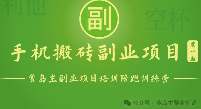 手机搬砖小副业项目训练营1.0，实测1小时收益50+，一部手机轻松日入100+-易购网创