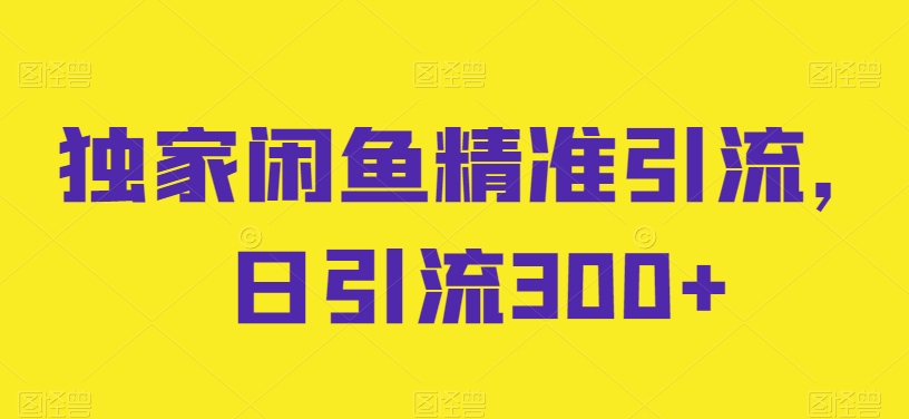 独家闲鱼精准引流，日引流300+-易购网创