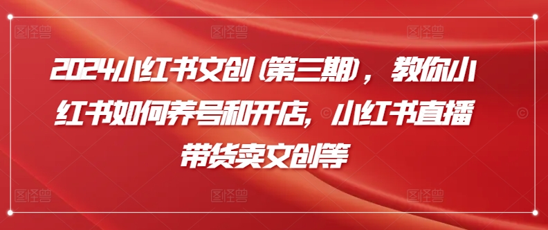 2024小红书文创(第三期)，教你小红书如何养号和开店，小红书直播带货卖文创等-易购网创