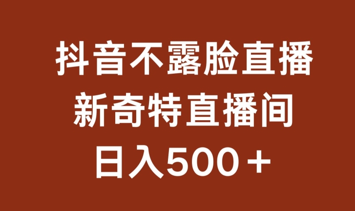 不露脸挂机直播，新奇特直播间，日入500+-易购网创