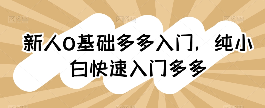 新人0基础多多入门，​纯小白快速入门多多-易购网创