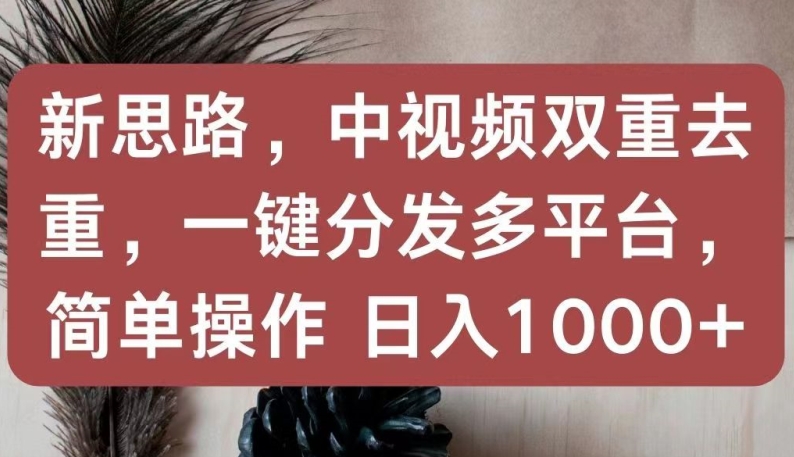 新思路，中视频双重去重，一键分发多平台，简单操作，日入1000+-易购网创