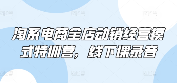 淘系电商全店动销经营模式特训营，线下课录音-易购网创