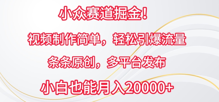 小众赛道掘金，视频制作简单，轻松引爆流量，条条原创，多平台发布-易购网创