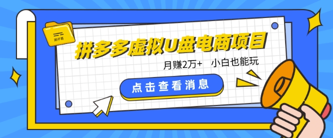 拼多多虚拟U盘电商红利项目：月赚2万+，新手小白也能玩-易购网创
