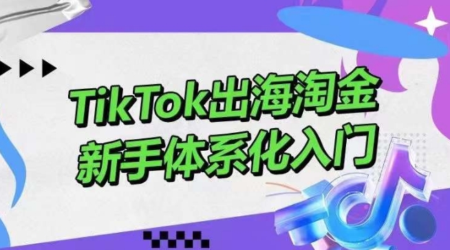 TikTok出海淘金，新手体系化入门，零基础快速入门，掌握短视频、直播带货等引流到变现的知识-易购网创