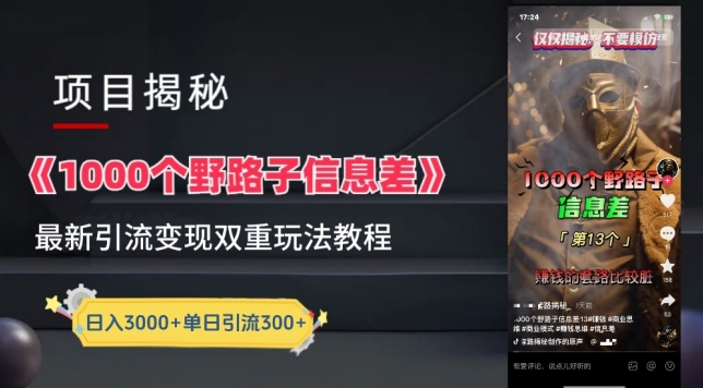 一千个野路子信息差最新玩法教程-变现+引流的玩法具体拆解-易购网创