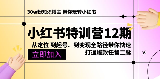小红书特训营12期：从定位 到起号、到变现全路径带你快速打通爆款任督二脉-易购网创