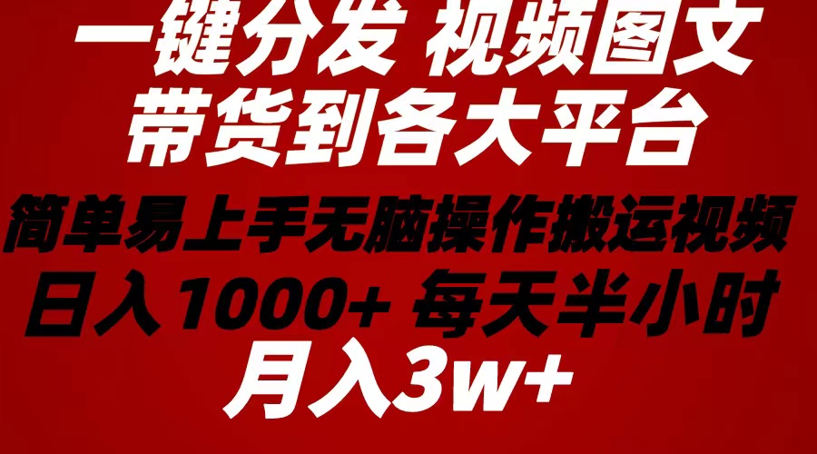 2024年 一键分发带货图文视频  简单易上手 无脑赚收益 每天半小时日入1…-易购网创
