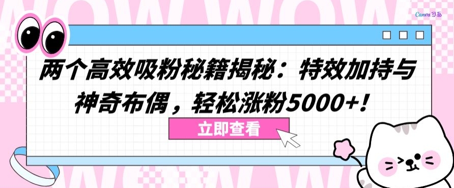 两个高效吸粉秘籍揭秘：特效加持与神奇布偶，轻松涨粉5000+-易购网创