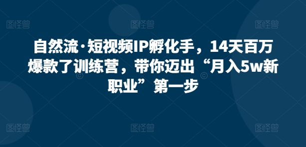 自然流·短视频IP孵化手，14天百万爆款了训练营，带你迈出“月入5w新职业”第一步-易购网创