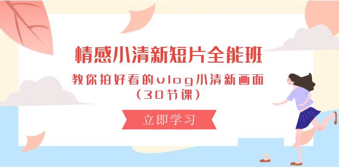 情感 小清新短片-全能班，教你拍好看的vlog小清新画面 (30节课)-易购网创