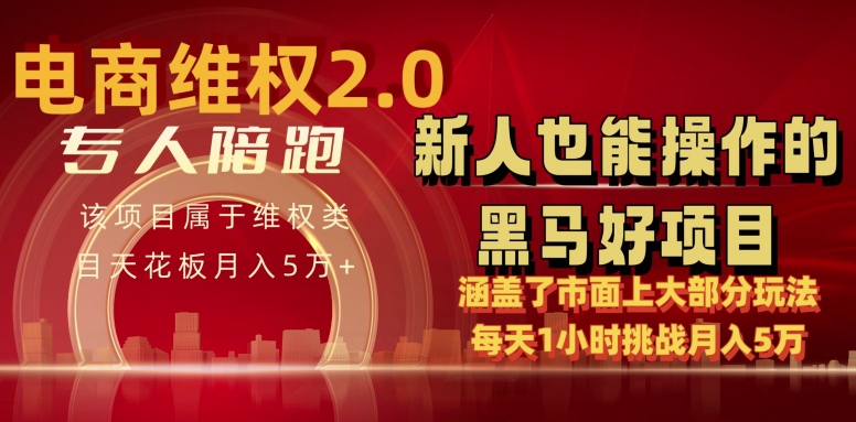 电商维权 4.0 如何做到月入 5 万+每天 1 小时新人也能快速上手【仅揭秘】-易购网创